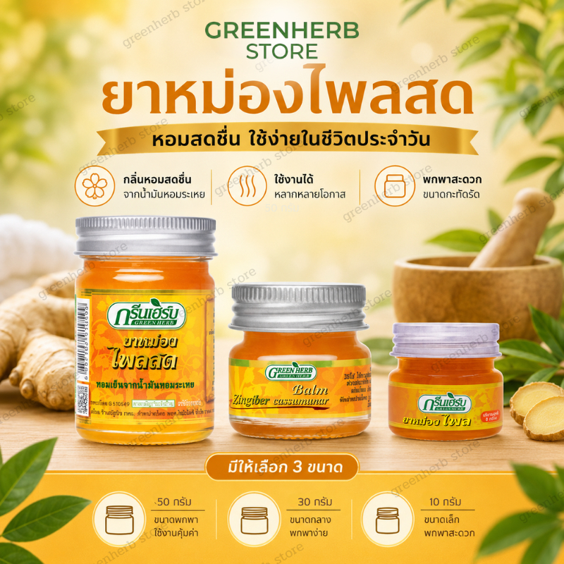 พร้อมส่ง ยาหม่องขิงเหลือง ขนาด 50กรัม ยาหม่องสมุนไพร Green Herb กรีนเฮิร์บ ยาหม่องขิงเหลือง50g