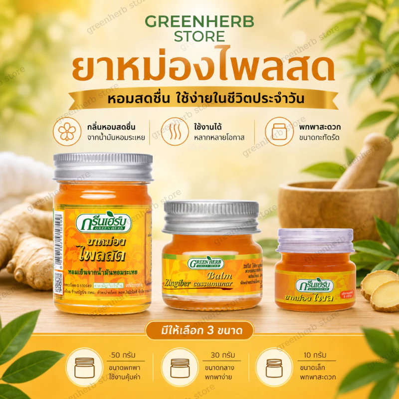 พร้อมส่ง ยาหม่องขิงเหลือง ขนาด 50กรัม ยาหม่องสมุนไพร Green Herb กรีนเฮิร์บ ยาหม่องขิงเหลือง50g