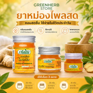 พร้อมส่ง ยาหม่องขิงเหลือง ขนาด 50กรัม ยาหม่องสมุนไพร Green Herb กรีนเฮิร์บ ยาหม่องขิงเหลือง50g