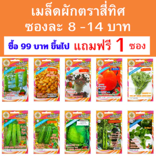 เมล็ดพันธุ์ผักสวนครัวสี่ทิศ เซ็ท 2 ซองละ 8-14 บาท ซื้อ 99 บาทขึ้นไปแถมฟรี 1 ซอง