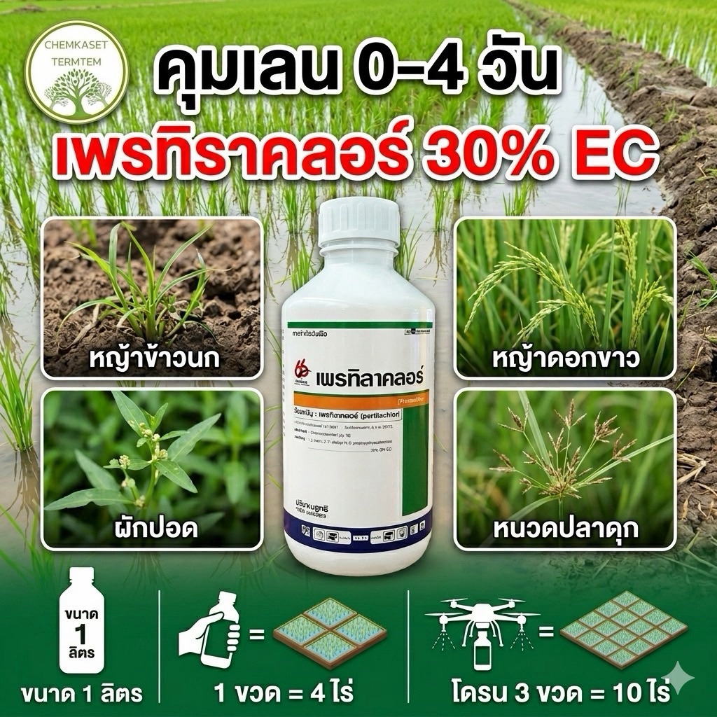 ยกลัง 12 ขวด เรนฟิค เพรทิลาคลอร์ คุมเลน โซฟิต (pretilachlor) 30% W/V EC ขนาด 1 ลิตร