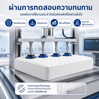 ที่นอนสปริงเกรดโรงแรม หนา 8 นิ้ว สำหรับโรงแรม อพาร์ตเมนต์ ห้องเช่า นุ่มแน่น รองรับสรีระ ไม่ยุบง่าย