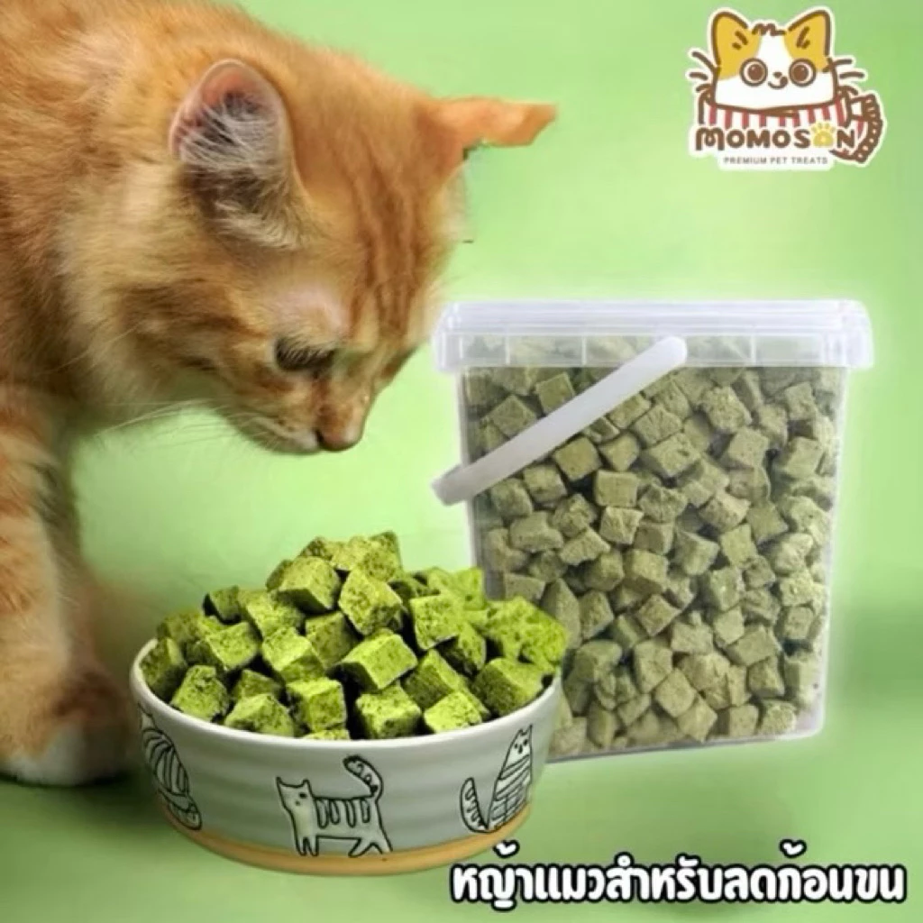 หญ้าแมวฟรีซดราย Momosan FreezeDried Cat Treats เสริมวิตามิน ลดก้อนขน ต้นอ่อนข้าวสาลี ขนมแมว อกไก่ผสมหญ้าแมว