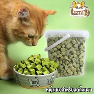 หญ้าแมวฟรีซดราย Momosan FreezeDried Cat Treats เสริมวิตามิน ลดก้อนขน ต้นอ่อนข้าวสาลี ขนมแมว อกไก่ผสมหญ้าแมว