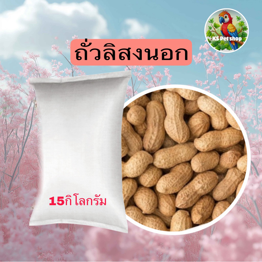 ถั่วลิสงสำหรับนกและสัตว์ฟันแทะ