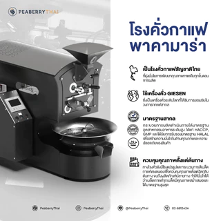 Pacamara P3 Blend 500g เมล็ดกาแฟอาราบิก้า 100% คั่วเข้ม ขนาดบรรจุ 500 กรัม