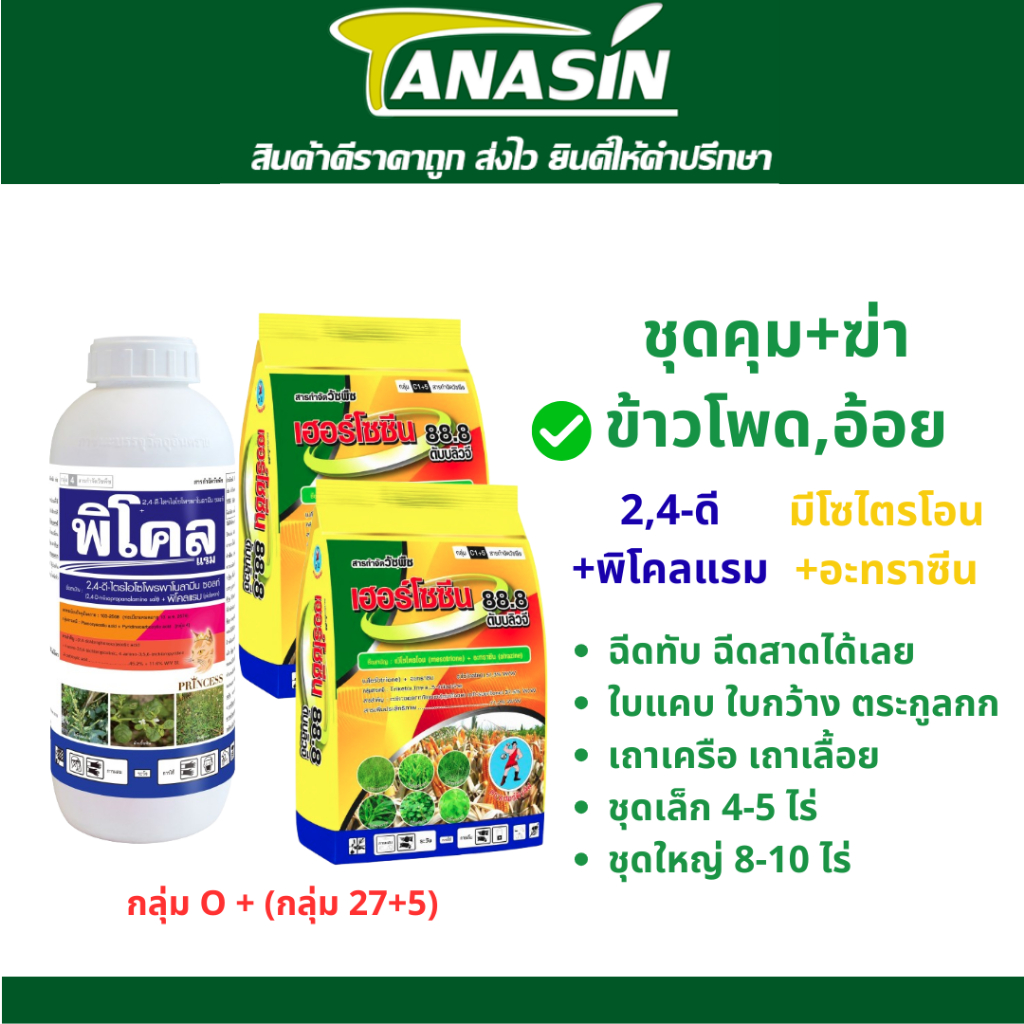 พิโคล + เฮอร์โซซีน คุม+ฆ่าหญ้าในข้าวโพด ไร่อ้อย กำจัดหญ้าใบแคบใบกว้าง กก เถาเครือ ผักบุ้ง ฉีดทับได้