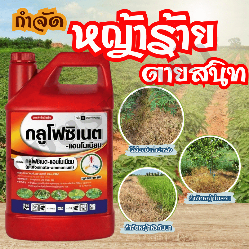กลูโฟซิเนต-มดจอมพลัง ขนาด 4 ลิตร กำจัดวัชพืชทุกชนิด ในสวนทุเรีน ยาง ปาล์ม ไล่ร่องมันสำประหลัง อ้อย หัวคันนา
