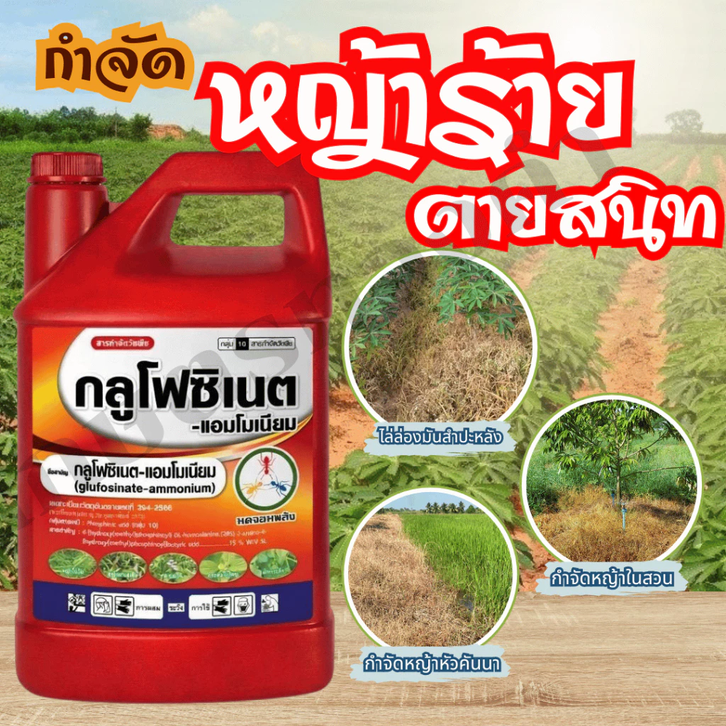 กลูโฟซิเนต-มดจอมพลัง ขนาด 4 ลิตร กำจัดวัชพืชทุกชนิด ในสวนทุเรีน ยาง ปาล์ม ไล่ร่องมันสำประหลัง อ้อย หัวคันนา