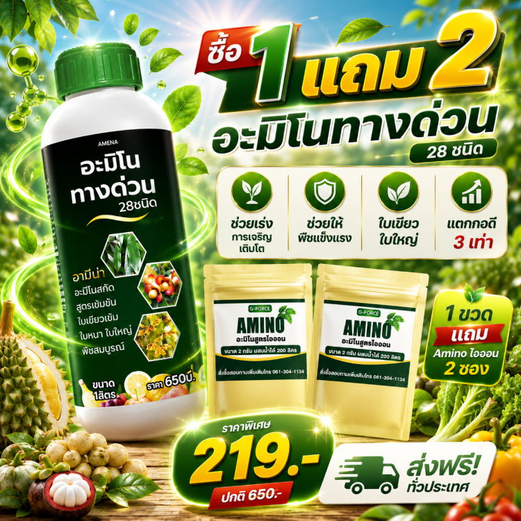 อามีน่าอะมิโนทางด่วน 28ชนิด 2ขวด แถมไอ้เน่า1แผง  สูตรอะมิโนทางด่วน เร่งโต ขวดละ1ลิตร