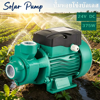 Solar Water Pump รุ่นQB-60 230W 24V ปั๊มหอยโข่งบัลเลส ชุดปั๊มน้ำเกษตรพลังงานแสงอาทิตย์