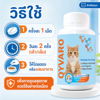 สร้างภูมิคุ้มกัน Qyvaro ดูแลระบบหายใจ แมวหวัด ไอ จาม น้ำมูกไหล เจ็บคอ ตาเจ็บ ซึม แมวแข็งแรง