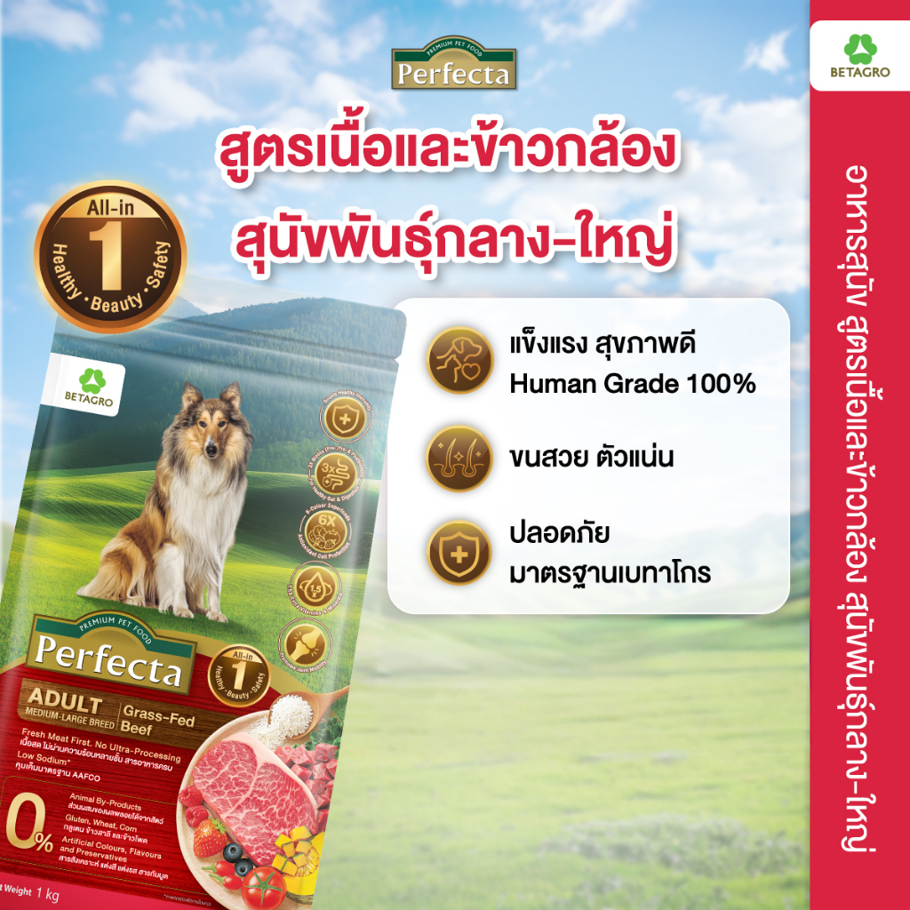 Perfecta Wellness สุนัขโต กลาง-ใหญ่ รสเนื้อ 15 KG