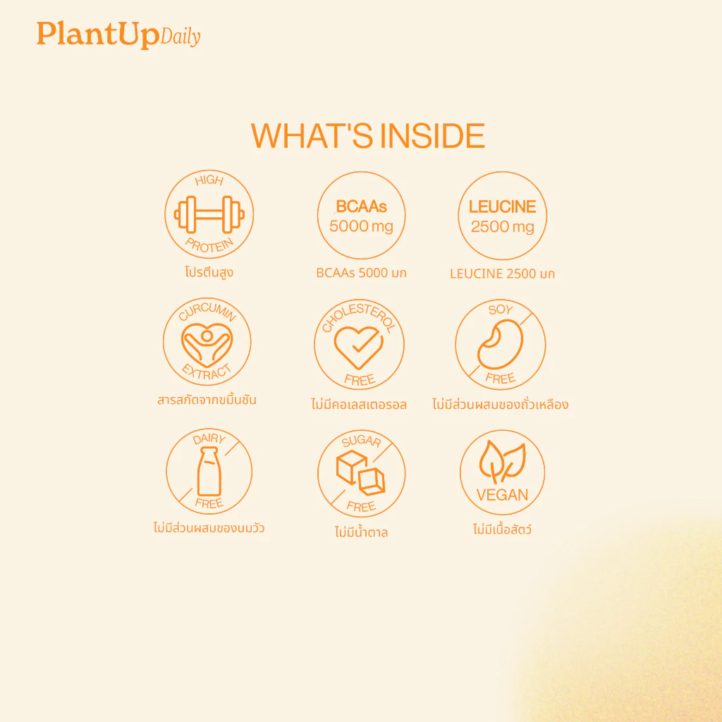 PlantUp Daily โปรตีนพืชใส Clear Pea Protein 23g รสขิงขมิ้นเลมอน BCAAs 5000mg Electrolytes ไม่มีน้ำตาล 7 ซอง 210g thumbnail 3
