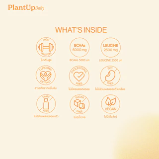 PlantUp Daily โปรตีนพืชใส Clear Pea Protein 23g รสขิงขมิ้นเลมอน BCAAs 5000mg Electrolytes ไม่มีน้ำตาล 7 ซอง 210g