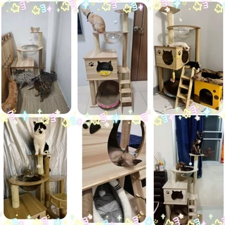 คอนโดแมว 3ชั้น 102ซม. หลุมอวกาศใส 2 ใบ ที่ลับเล็บแมว นอนเล่นได้หลายจุด แข็งแรงน่าใช้