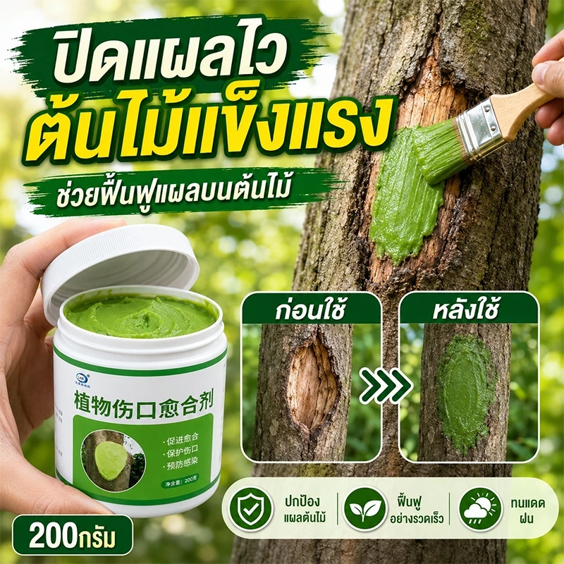 🌲สมานแผลเร็ว🌲ยาทาแผลต้นไม้ ทาแผลต้นไม้ ยาทาแผลต้นไม้ป้องกันเชื้อรา เคลือบปกป้องแผล ใช้ได้หลายพืช