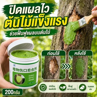 🌲สมานแผลเร็ว🌲ยาทาแผลต้นไม้ ทาแผลต้นไม้ ยาทาแผลต้นไม้ป้องกันเชื้อรา เคลือบปกป้องแผล ใช้ได้หลายพืช