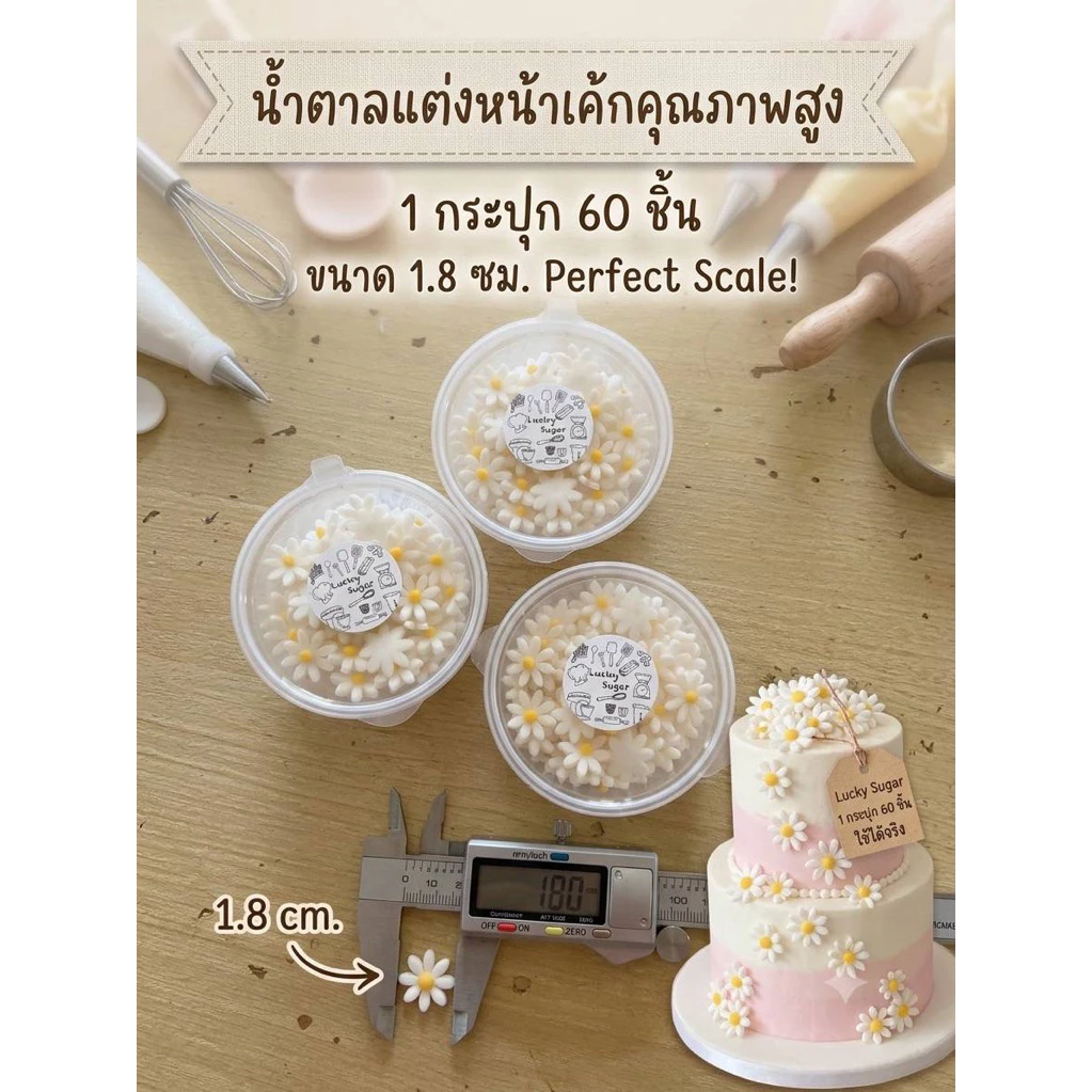 ดอกเดซี่จิ๋วสีขาวดอกไม้ฟองดองขนาด1.8cm1กระปุกบรรจุ60ชิ้น35บาท