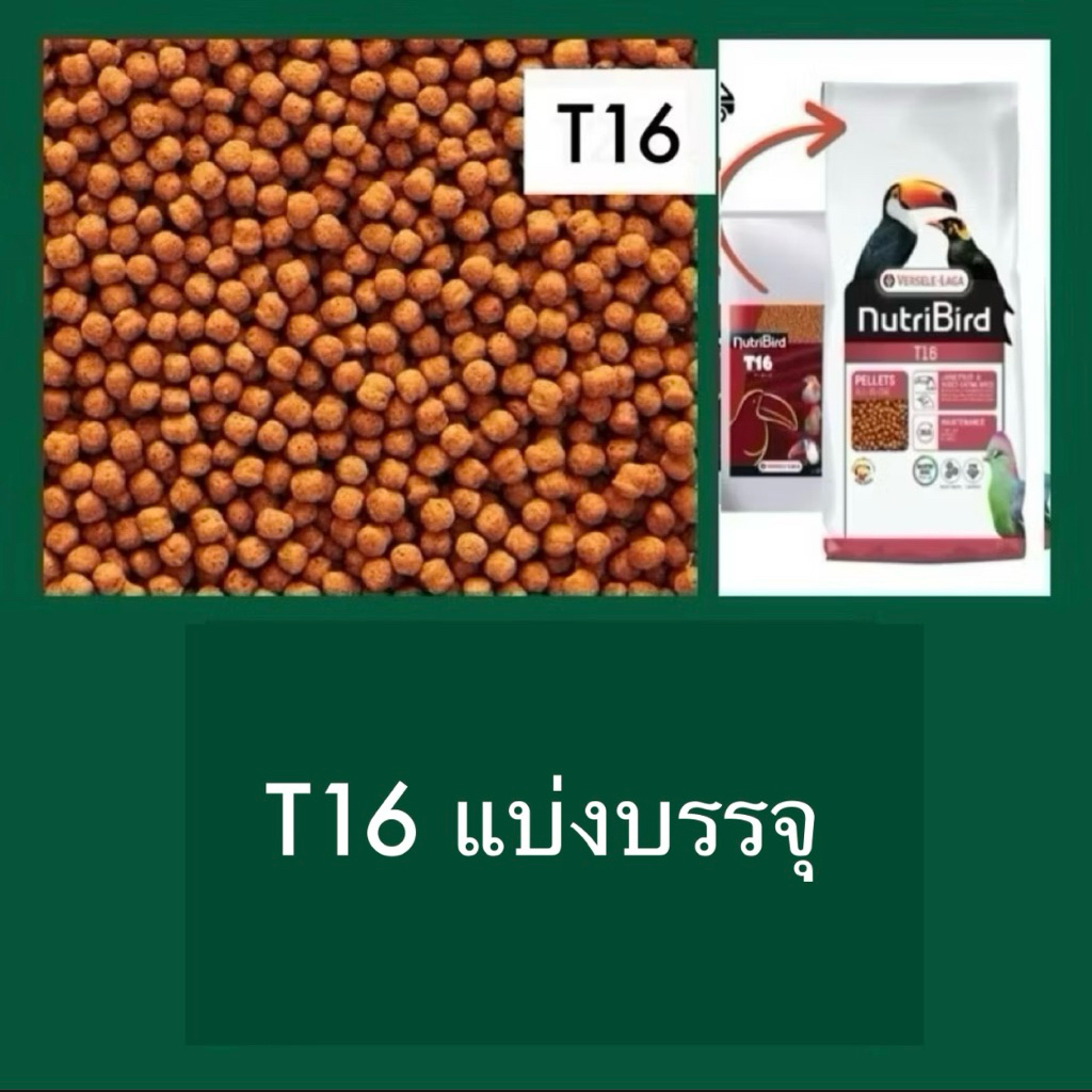 🅺🅺🅵 (แบ่งบรรจุ) Nutribird T16 อาหารนกทูแคน นกเอี้ยง นกขุนทอง