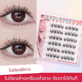 BLOOMIFY ขนตาปลอมกาวในตัว และแบบทากาว 👁️ เอฟเฟกต์ตาดูโต 💪 ติดทน ♻️ ใช้ซ้ำได้ (มี 2 แบบให้เลือก)