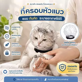 Boqi Factory ที่คลุมหัวแมวสัตว์เลี้ยงที่แข็งแรงระบายอากาศได้ หมวกนิรภัยลูกแมวป้องกันการกัด Cutehead