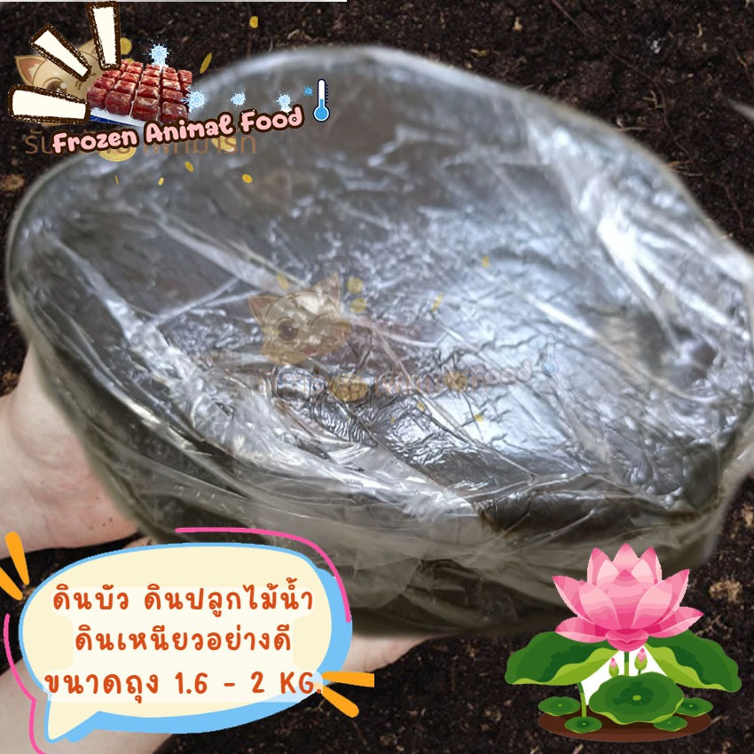 ดินปลูกบัว ดินเหนียวอย่างดี ดินปลูกไม้น้ำ ขนาด 2 kg. ดินก้อนใหญ่สารอาหารครบถ้วน