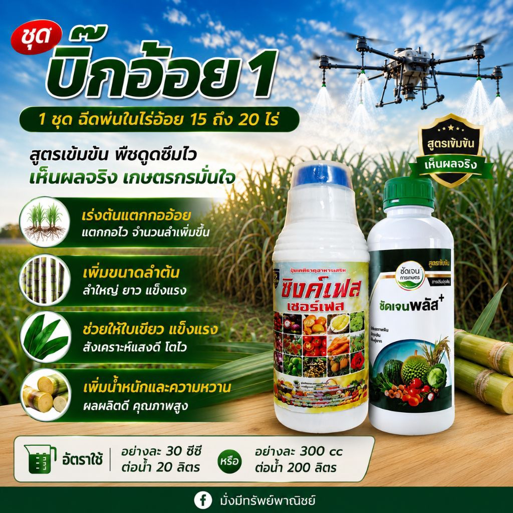 ชุดบิ๊กอ้อย 1 ชุดฉีดได้ 15-20 ไร่ ตัวช่วยเพิ่มผลผลิตอ้อยแบบครบจบในชุดเดียวเร่งแตกกออ้อย แตกกอไว จำนวนลำเพิ่มขึ้น