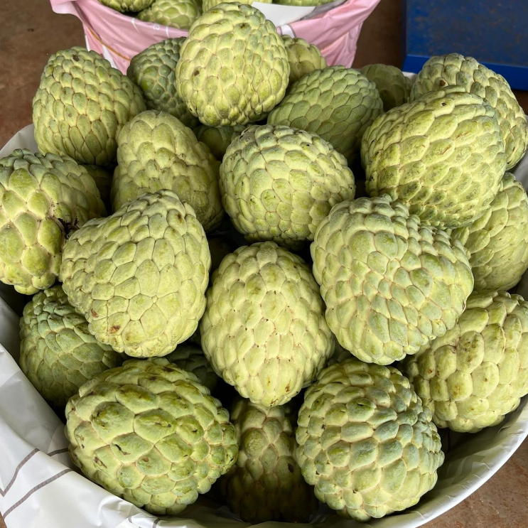 (พร้อมส่ง)น้อยหน่าเพชรปากช่อง (เนื้อหนัง) หวานฉ่ำ เนื้อแน่น เมล็ดน้อย