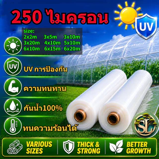 【250 ไมคร】พลาสติกคลุมโรงเรือน พลาสติกใส คลุมหลังคากันสาด ฟิล์มPE Green House กันฝน สีใส ขนาด3x5 4x10 5x10 6x10ม.