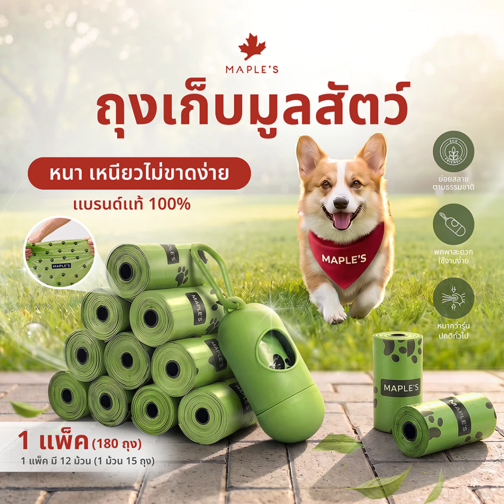 MAPLE'S ถุงเก็บมูลสัตว์เลี้ยง ย่อยสลายเองได้ตามธรรมชาติ รุ่นพรีเมี่ยมหนา ถุงเก็บอึสุนัข แมว maple