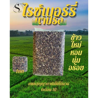 ข้าวไรซ์เบอร์รี่นาปรัง 1กิโลกรัม ตราทรัพย์ธนา แพคสุญญากาศแน่นหนา เก็บได้นาน สดใหม่