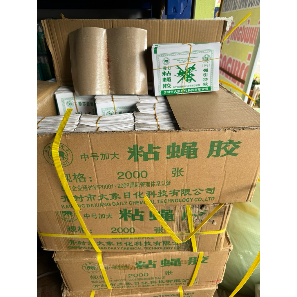 2,000แผ่น ระวังของปลอม! กาวดักแมลงวัน ชนิดแผ่นกระดาษ ปลอดภัยใช้ง่าย แผ่นสีเขียวเหนียวแน่นติดดี  มีเก็บเงินปลายทาง