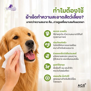 (100 แผ่น/แพ็ค) ผ้าเช็ดทำความสะอาดสัตว์เลี้ยง ลดการสะสมของแบคทีเรีย อ่อนโยน เพิ่มความชุ่มชื้น ขจัดกลิ่น Woosh Pet Wipes