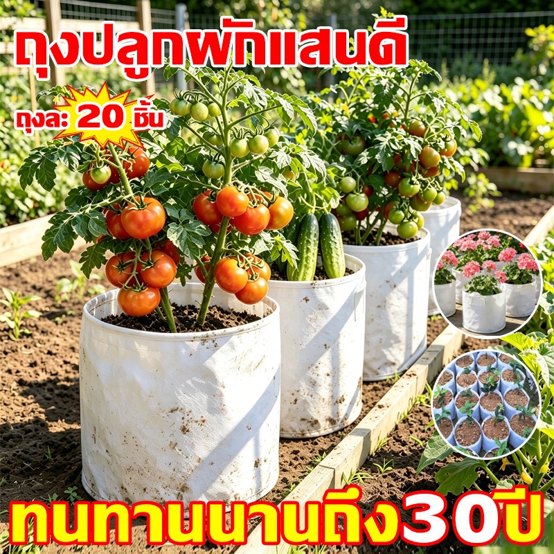 🌻กันรากเน่าหรืออับชื้นราก🌻ถุงเพาะปลูก ระบายอากาศ ผ่านน้ำ เพาะชำ ปลูกผัก