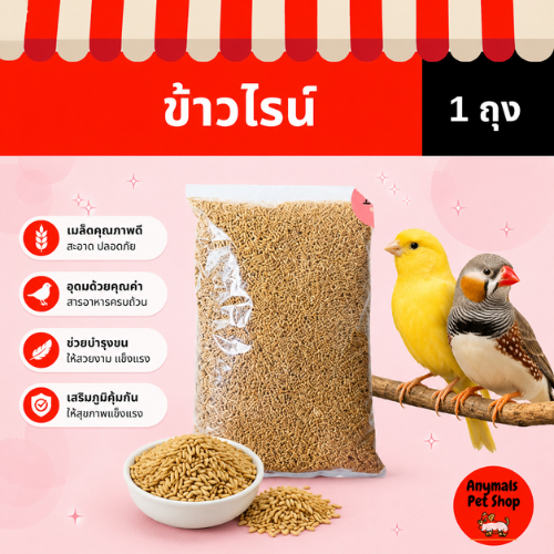 ข้าวไรน์ (Rye grain) เป็นธัญพืชที่นิยมใช้เป็นอาหารนก โดยเฉพาะนกปากขอ เช่น นกแก้ว ขนาด 1kg