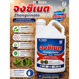 กลูโฟซิเนต-แอมโมเนียม 4 ลิตร สารกำจัดวัชพืช เผาไหม้และดูดซึม กำจัดได้ทั้งหญ้าใบแคบและใบกว้าง