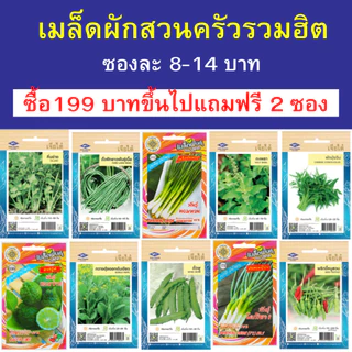 เมล็ดผักสวนครัว ซองละ 8-14 บาท ซื้อ 199 บาทขึ้นไปแถมฟรี 2 ซอง