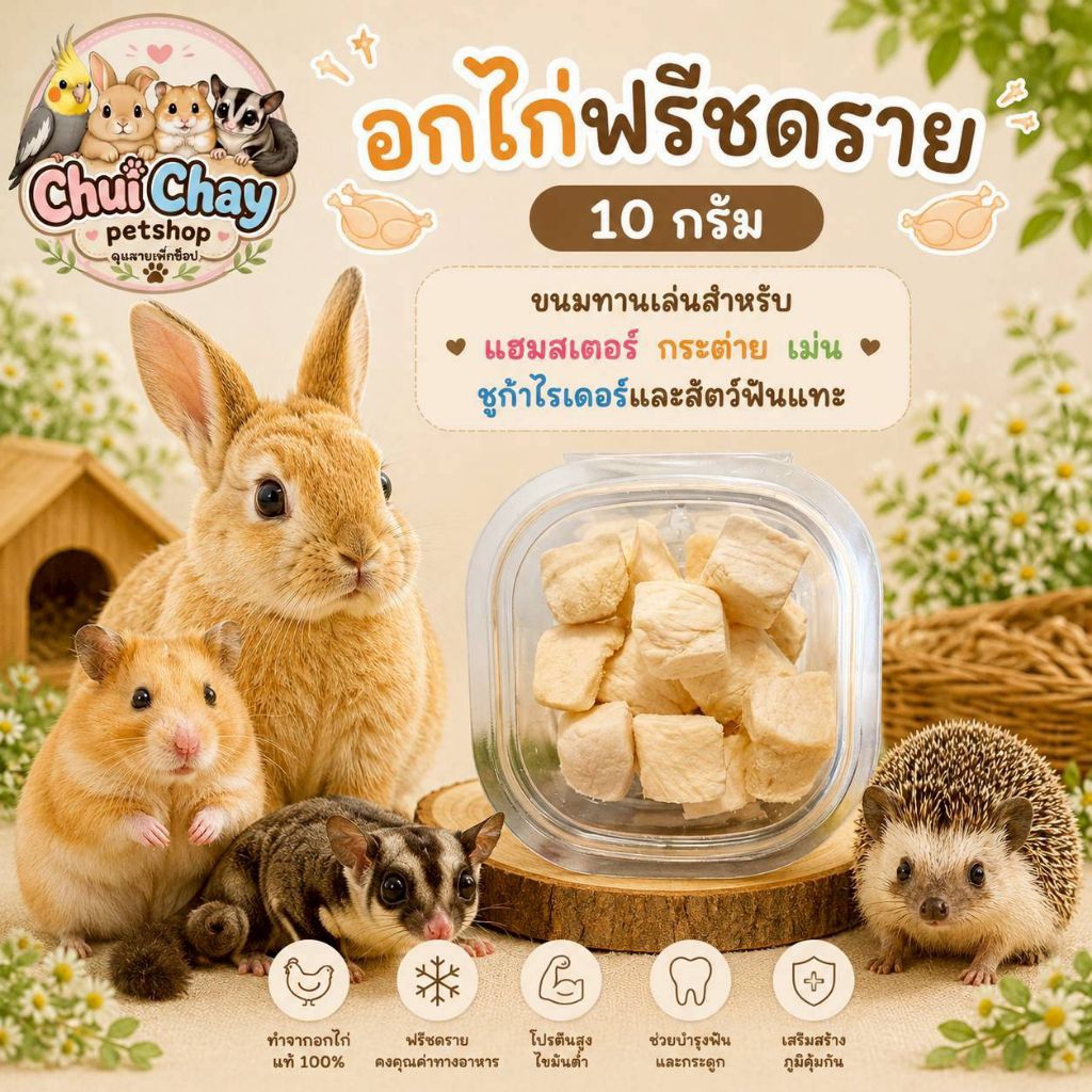 (อกไก่ฟรีชดราย 10 กรัม) ขนมทานเล่นสำหรับ แฮมสเตอร์ กระต่าย เม่น ชูก้าไกรเดอร์และสัตว์ฟันแทะทุกชนิด 🐇🦔🐿️