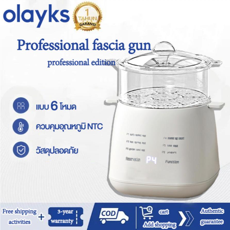 เครื่องต้มไข่ 4ฟอง เครื่องต้มไข่อัตโนมัติ ต้มไข่ไฟฟ้า หม้อต้มไข่