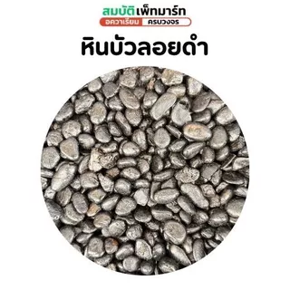 หินตกแต่งตู้ปลาและสวน ขนาด 500–1,000g. เพิ่มความสวยงามให้ตู้ปลา บ่อปลา สวนถาด กระถางต้นไม้ งานจัดสวน