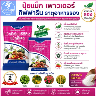 ปุ๋ย แม็กเพาวเดอร์ กิฟฟารีน ธาตุแมกนีเซียมเดี่ยว เพิ่มความเขียว สังเคราะห์แสง