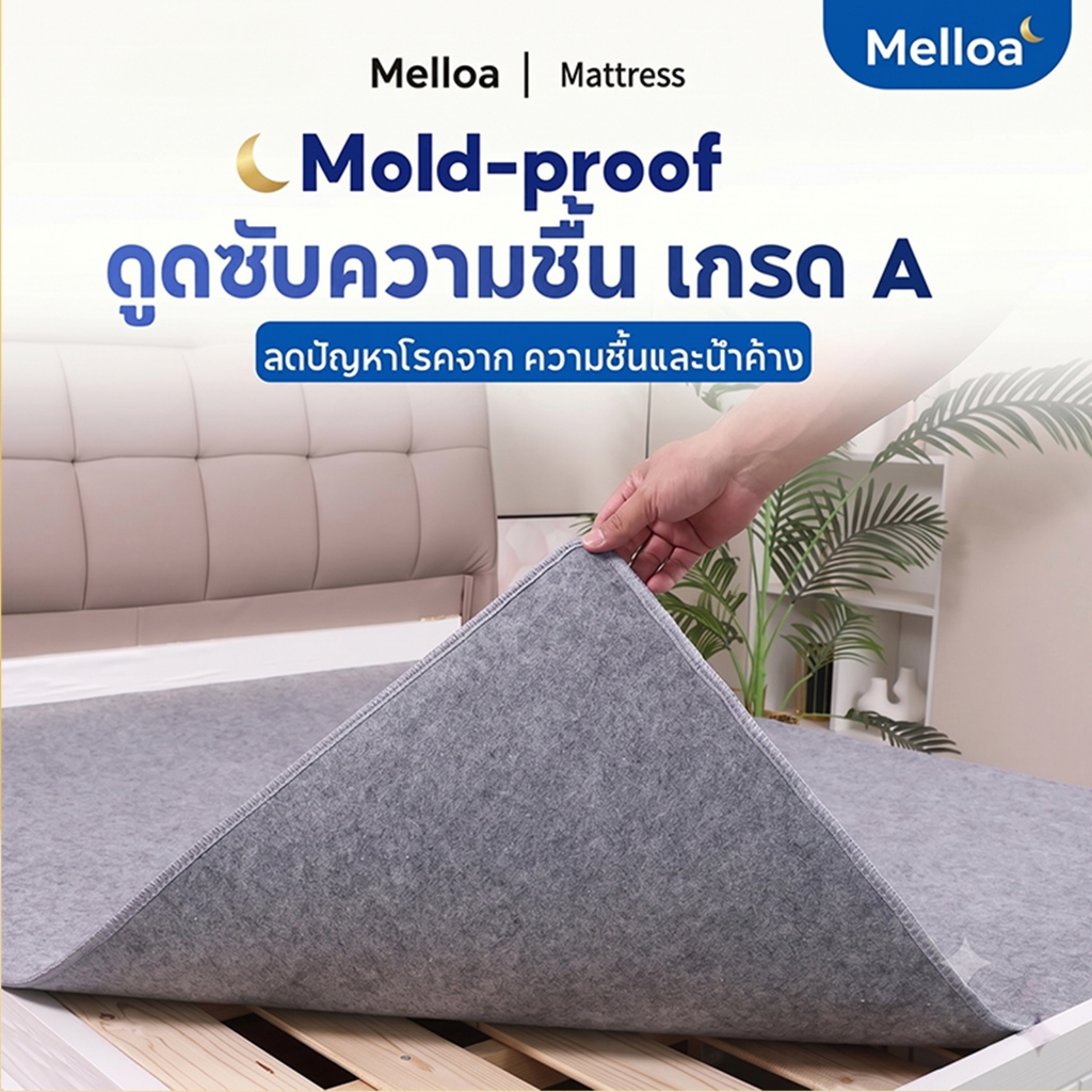 แผ่นรองกันชื้นที่นอน โรคราน้ําค้าง-Proof Felt ลดปัญหาโรคจาก ความชื้นและน้ำค้าง กันชื้น ระบายอากาศ แห้งไว