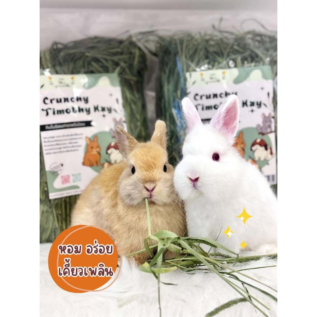 On the growth - Crunchy Timothy ทิมโมธีอบลมร้อน