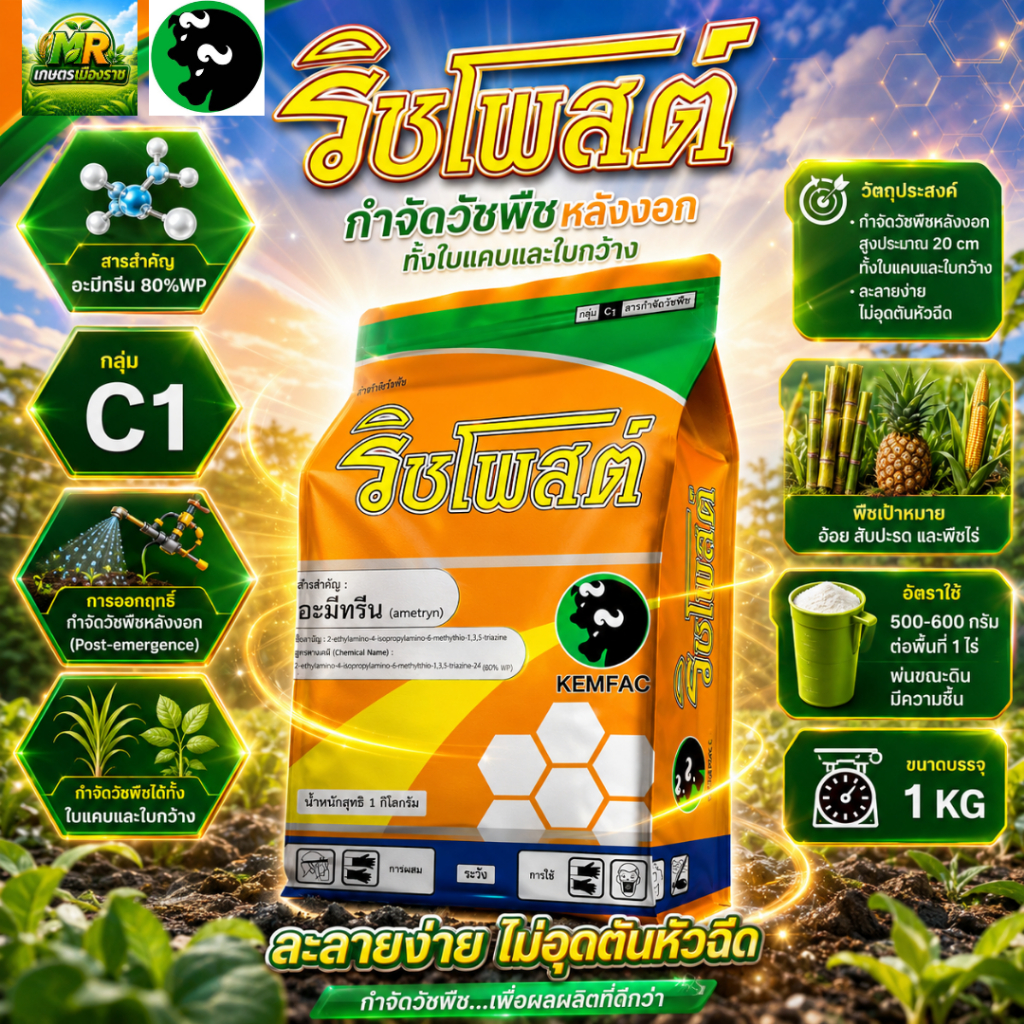 ริชโพสต์ (อะมีทรีน 80%WP) 1kg#เกษตรเมืองราช #เคมแฟค