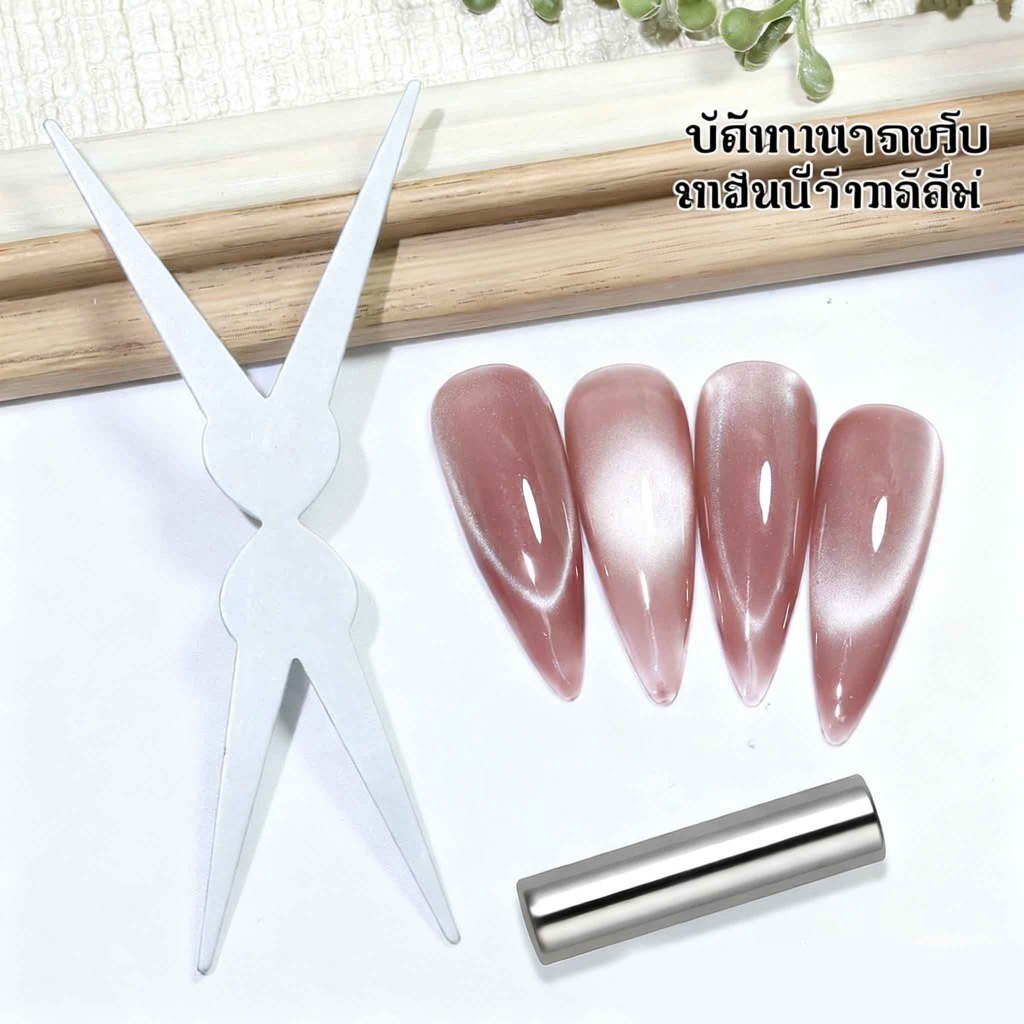 ชุดเจลทาเล็บคาทอายสุดหรู พร้อมไม้แม่เหล็ก สร้างลายเล็บด้วยแม่เหล็ก