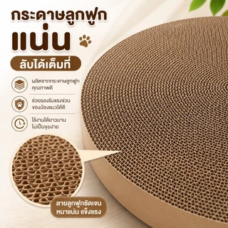 evebell อุปกรณ์ลับเล็บน้องแมว ทรงกลม ขนาด 33-50 ซม แบบเปลี่ยน มีหลายขนาดให้เลือก