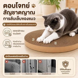 evebell อุปกรณ์ลับเล็บน้องแมว ทรงกลม ขนาด 33-50 ซม แบบเปลี่ยน มีหลายขนาดให้เลือก