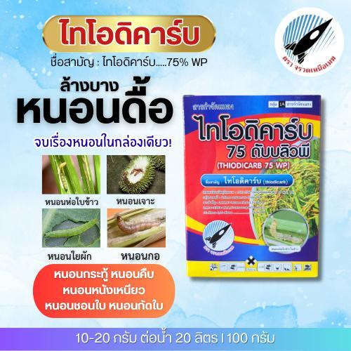 ไทโอดิคาร์บ (75%) ตัวเก่งหนอนดื้อ! หนอนห่อใบข้าว หนอนกอ หนอนกระทู้ข้าวโพด หนอนเจาะลูก หนอนใยผัก หนอนเจาะดอก : 100 กรัม