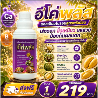 แคลเซียมโบรอน อีโค่พลัส ยกลัง12ขวด (แถมฟรี NAA ฮอร์โมนเร่งดอก 4.5%) | บำรุงดอก เพิ่มติดผล ผลใหญ่ แข็งแรง 12ลิตร